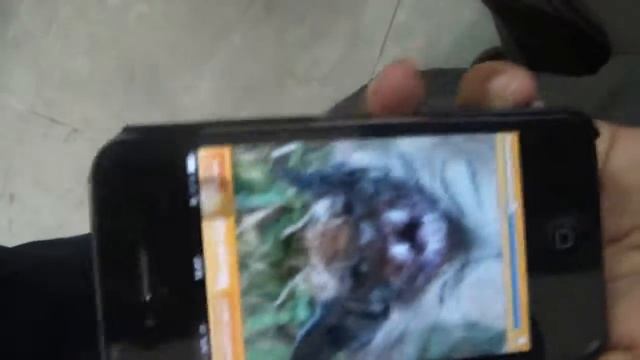 Amazing app for android and iphone: tiger changes to bat смотреть онлайн