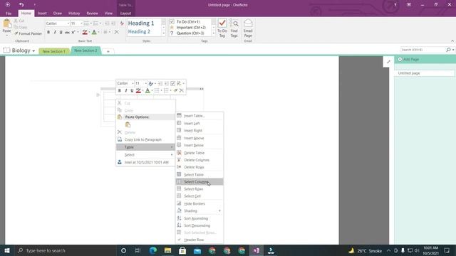 Complete Table explained in OneNote 2016 смотреть онлайн