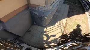 CRAZY POLICE GIRL WANTS ME TO BE HER BOYFRIEND 2 @Celpan   (Parkour POV Love Best)