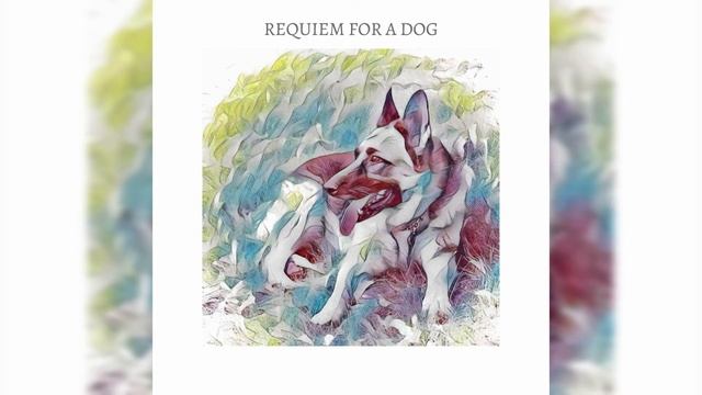 Requiem for a Dog смотреть онлайн