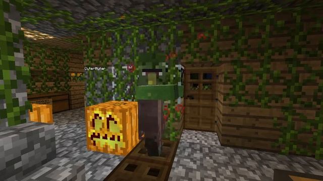 SuperGeniusZeb Cures A Spinning Zombie Villager