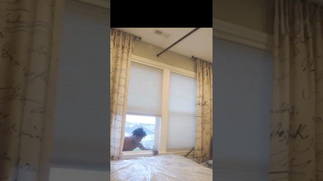 Speed jumping out his window 😂🤣 смотреть онлайн