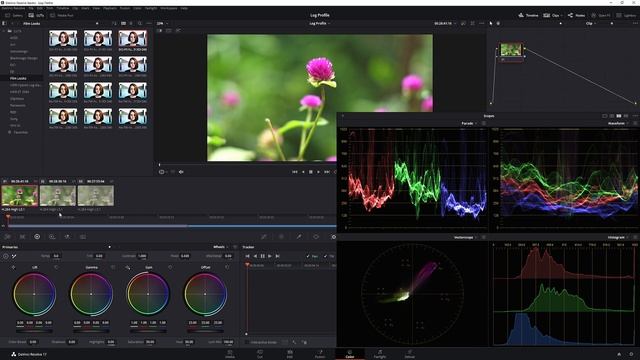 What is LOG or Flat Footage? | Log Profiles Explained | എന്താണ് Log Profile | What is LOG video? смотреть онлайн