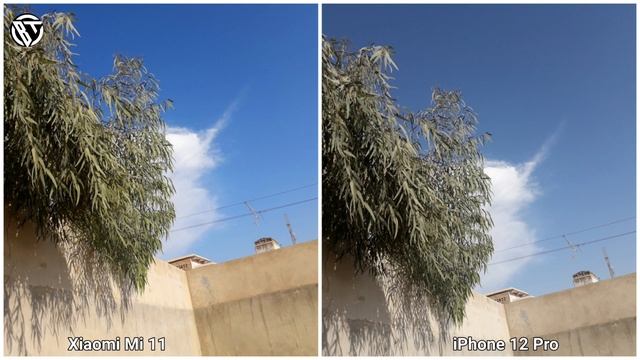 Xiaomi Mi 11 Vs iPhone 12 Pro | Camera Test | Xiaomi Mi 11 смотреть онлайн