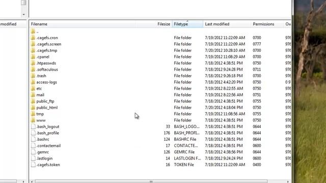 Working with an FTP Program смотреть онлайн