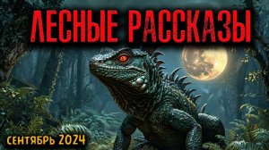 ЛЕСНЫЕ РАССКАЗЫ