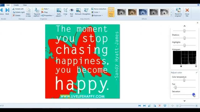 Windows live Photo Gallery смотреть онлайн