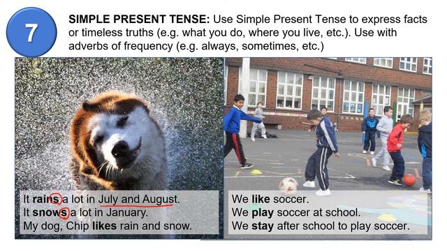 7. Simple Present Tense смотреть онлайн