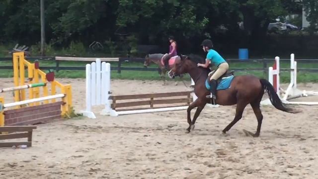 Mock Mini Apple Jack 3'6" смотреть онлайн