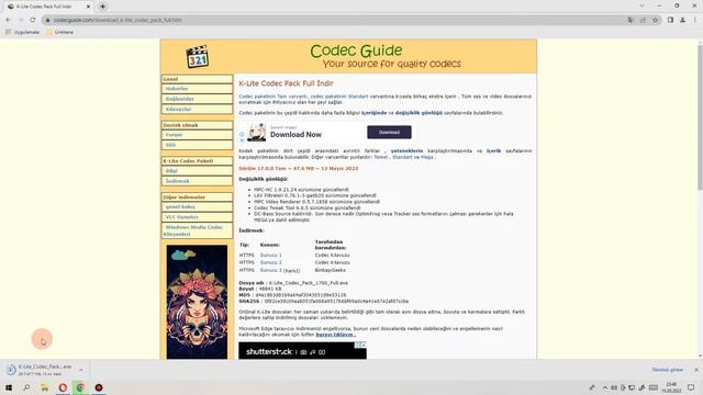 Bilgisayarda Videonun Sesi Var Görüntüsü Yok! Çözümü *** K Lite CODEC nasıl yüklenir? смотреть онлайн