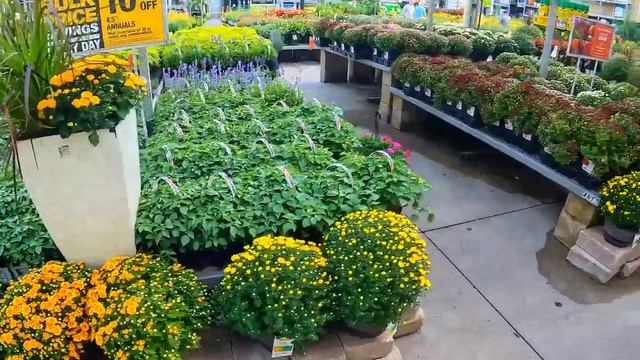 "Shop with Me at Big Lots, Home Depot & Bath & Body Works! 🍂 Autumn Decor & Plants Haul" смотреть онлайн