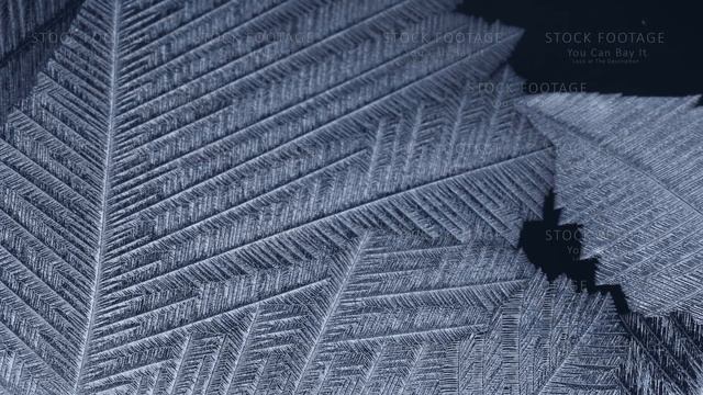 Freezing Window Close-up, Winter Holidays Background