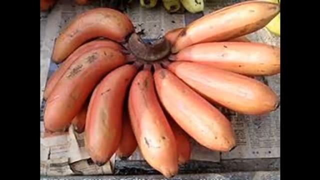 BENEFITS OF BANANA смотреть онлайн