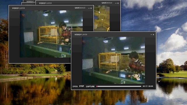 Adobe AIR Flv Player смотреть онлайн