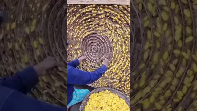 Как делают шёлк