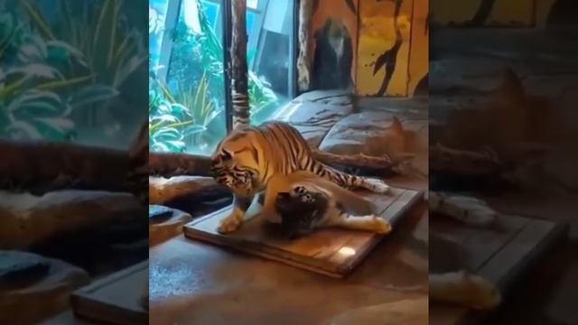 Ты серьезно дорогая