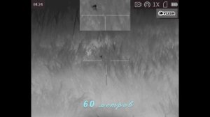 Регулируем хищника в охот. угодьях Волгоградской области