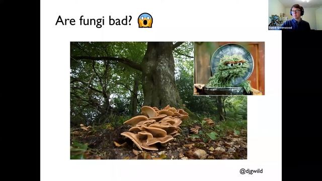 Fungus amongus: common mushrooms in England смотреть онлайн
