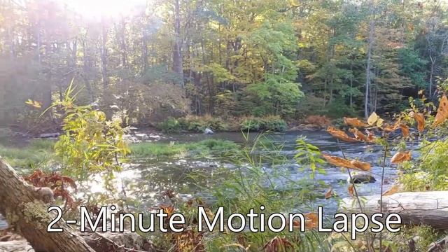 DJI Osmo Mobile 3 Gimbal Demo: Motion Lapse, Hyperlapse, Slow Motion, Active vs Manual Tracking смотреть онлайн