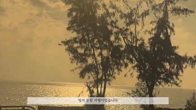 [vlog 12] 대만교환학생브이로그 | 근데 이제 추억회상이 된,, | 컨딩 여행 다녀오기 | 기말시험 준비 중 смотреть онлайн