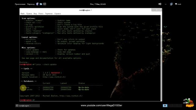 Kali Linux tools - Check the security system with LYNIS смотреть онлайн