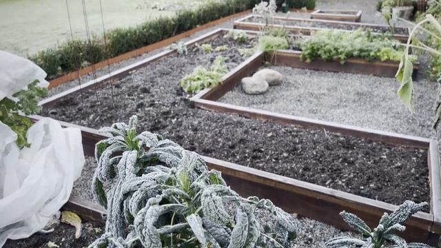 #14 Winter Prep - Garden Harvest, Jalapẽno Canning and Fresh Apple Juice смотреть онлайн