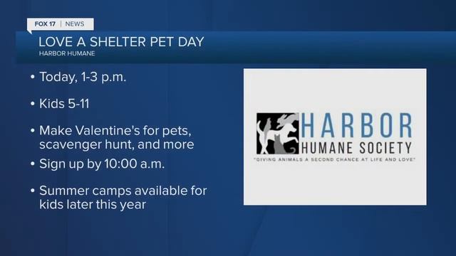 Love a Shelter Pet Day смотреть онлайн
