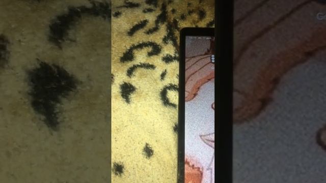 Обзор на мой планшет смотреть онлайн