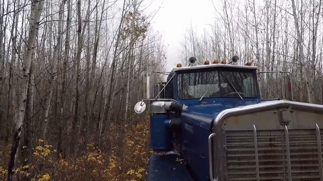 1984 Kenworth C500 first start in 20 years! смотреть онлайн