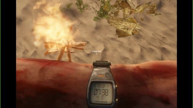 Stranded Deep gameplay on HD 5450 смотреть онлайн