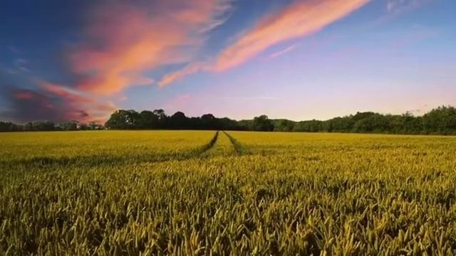 Apple का पुराना logo(old apple logo) #fact2 смотреть онлайн