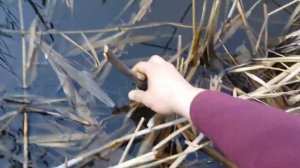 Ловля раков в марте