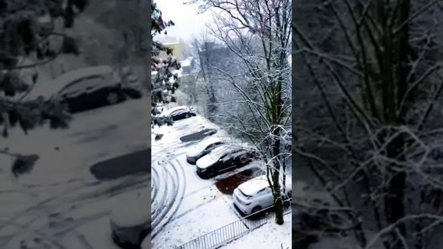 today's so cold outside the window , snow falling and cute scene смотреть онлайн