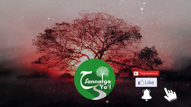 Абдуллох Домла 2023- Барака хақида эшитинг- Abdulloh Domla 2023#namoz #istigfor #zikr