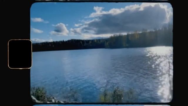 🌿Exploring the Forest in Finland🍄Pick Berries🍓Picnic🍷 смотреть онлайн