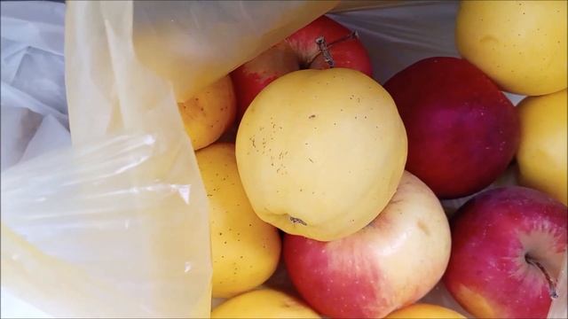 Golden Apples, Red Apples, Green Apples, Panettone смотреть онлайн