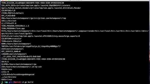 golang program compile for linux in mac смотреть онлайн