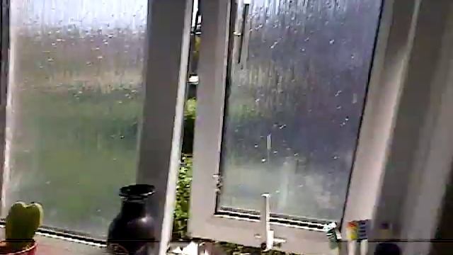 cara falling out the window смотреть онлайн