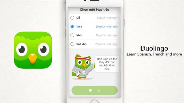 Duolingo - Beginner Lesson смотреть онлайн