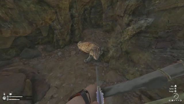 Jump Scared by a Jaguar - Green Hell смотреть онлайн
