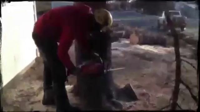 Eager Beaver Spruce Removal смотреть онлайн
