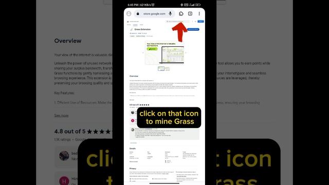 How To Earn Grass On Mises Browser Extension смотреть онлайн