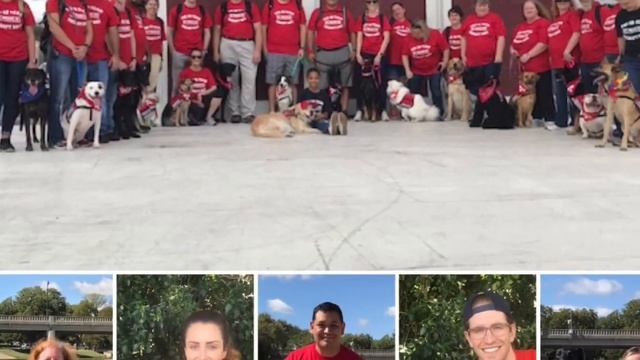 Kristen & Ava: Sit Means Sit At Home смотреть онлайн