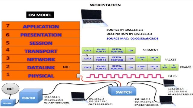 How Network Interface Cards Work: Exploring Wired and Wireless Connectivity смотреть онлайн