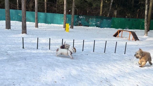 Видео с Iphone 14 в формате 4к смотреть онлайн