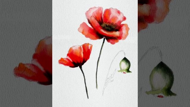 Following a poppies tutorial by Tatyworks, using Procreate on the iPad Pro смотреть онлайн