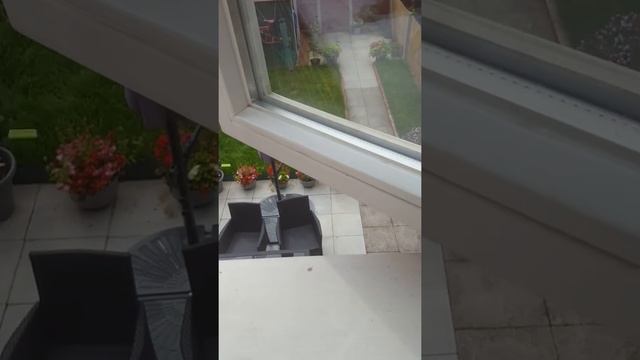 Throwing fidgits that I don't like out the window!:) смотреть онлайн