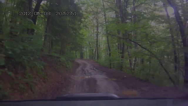 FILE1100 смотреть онлайн