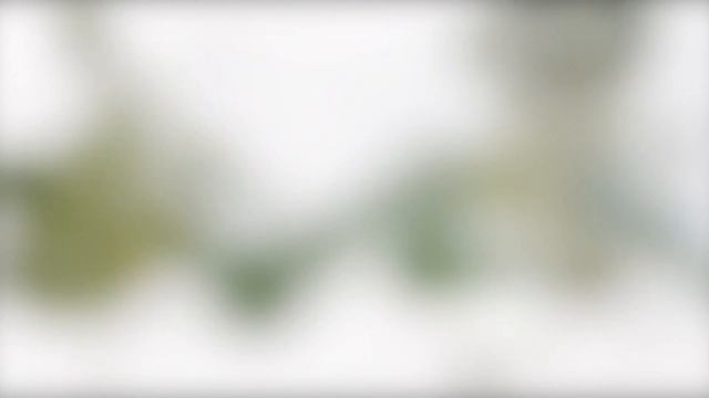 1hr Abstract White Blurred Background With Relaxing Music | 4K Relaxing Screensaver for Meditation смотреть онлайн