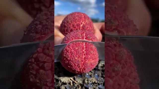 Most Trending Fruits | Fruits Cutting | Apple Fruits | Orange Fruit | Mango | Water Million смотреть онлайн
